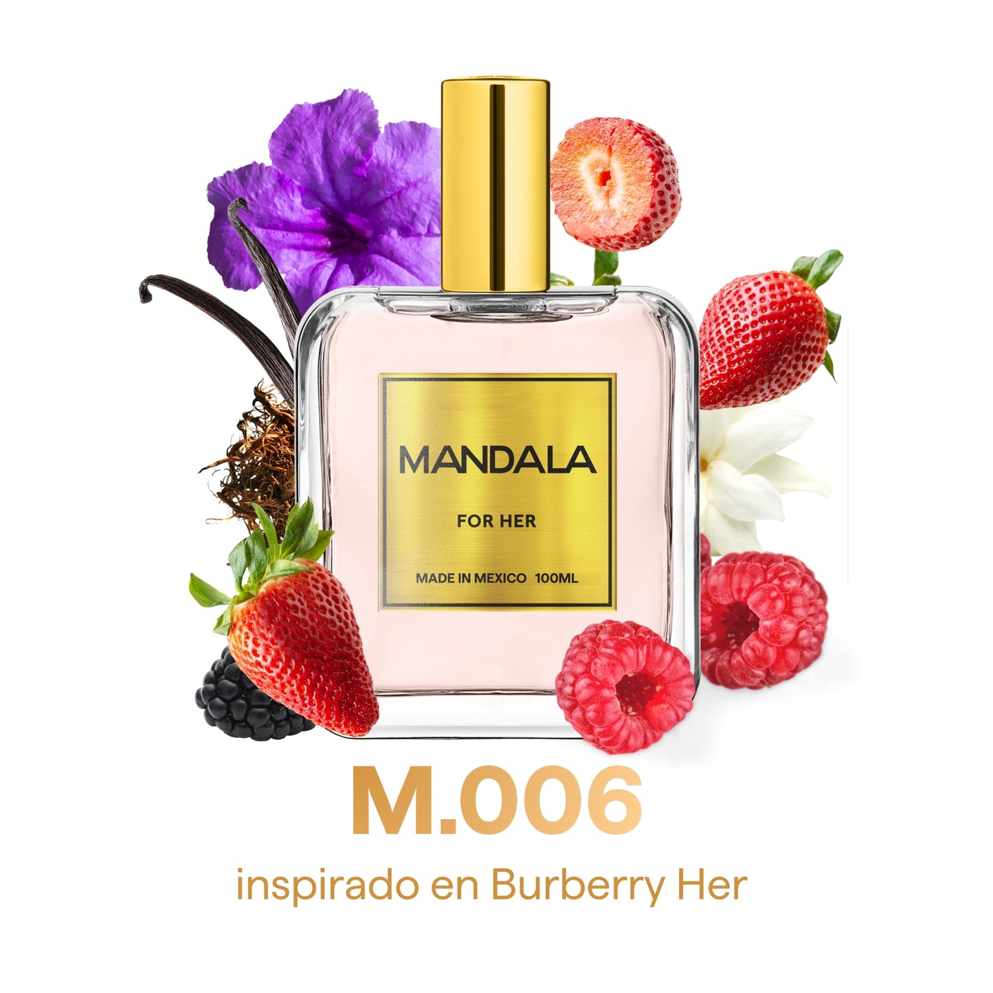Goddes Energy - Pack Exclusivo 4 de nuestros favoritos for Her